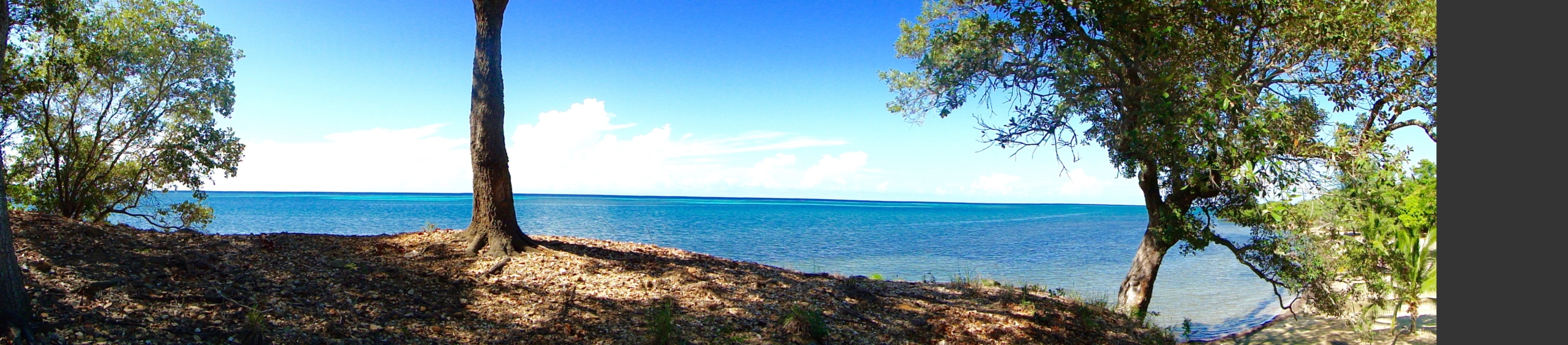80 Acres With 2000 Foot Sand Beach Near Pristine Bay And The Black Pearl Golf Course - Roatan ...