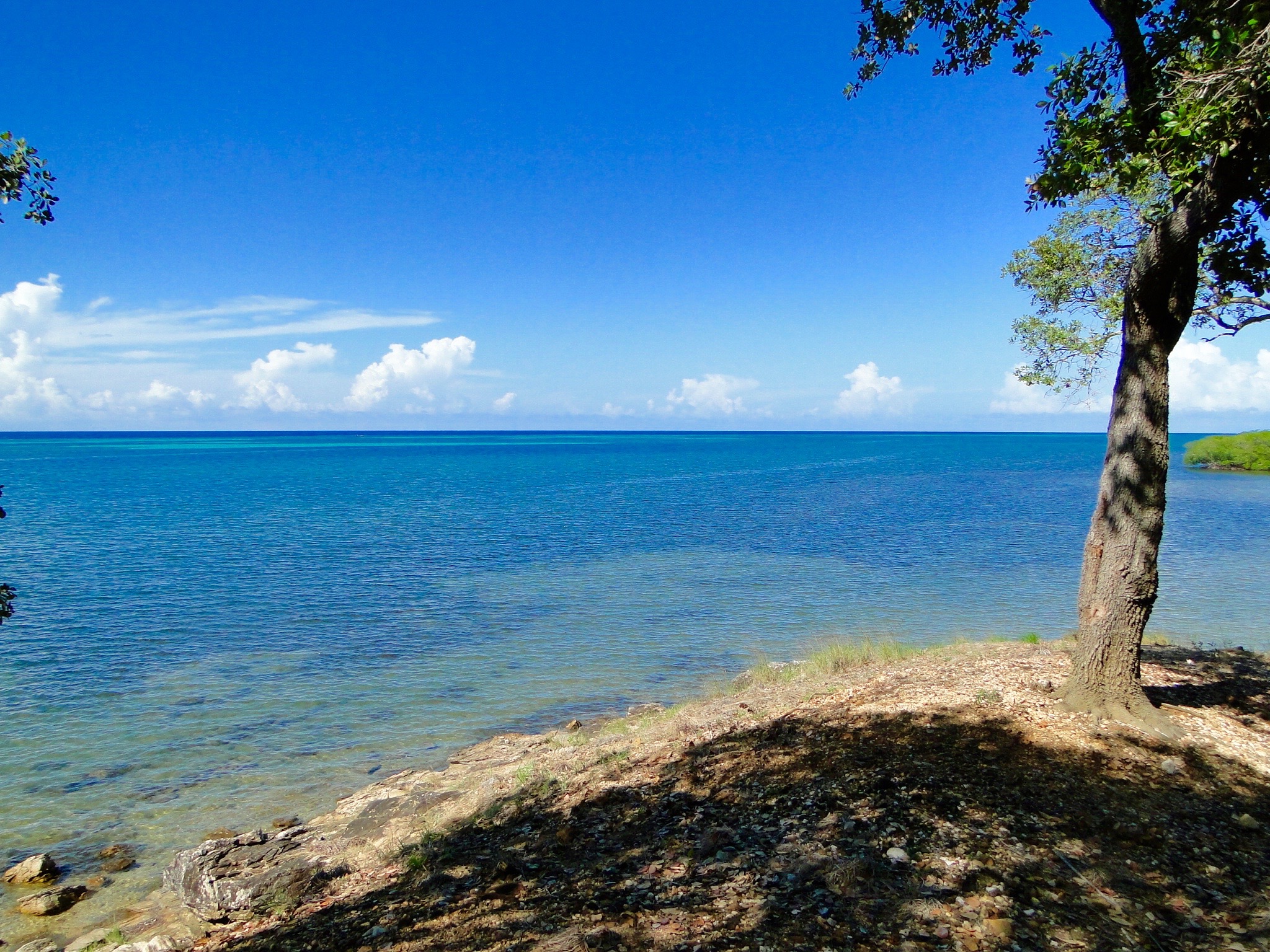 80 Acres With 2000 Foot Sand Beach Near Pristine Bay And The Black Pearl Golf Course - Roatan ...